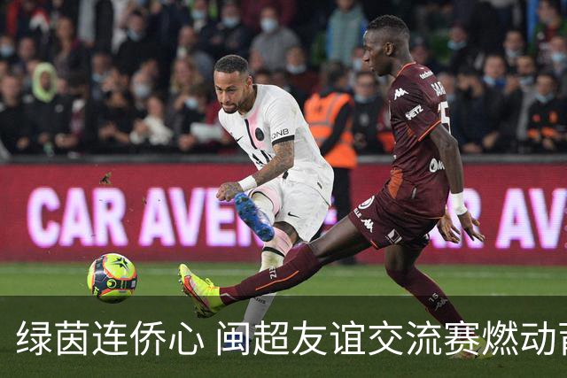 绿茵连侨心 闽超友谊交流赛燃动莆田